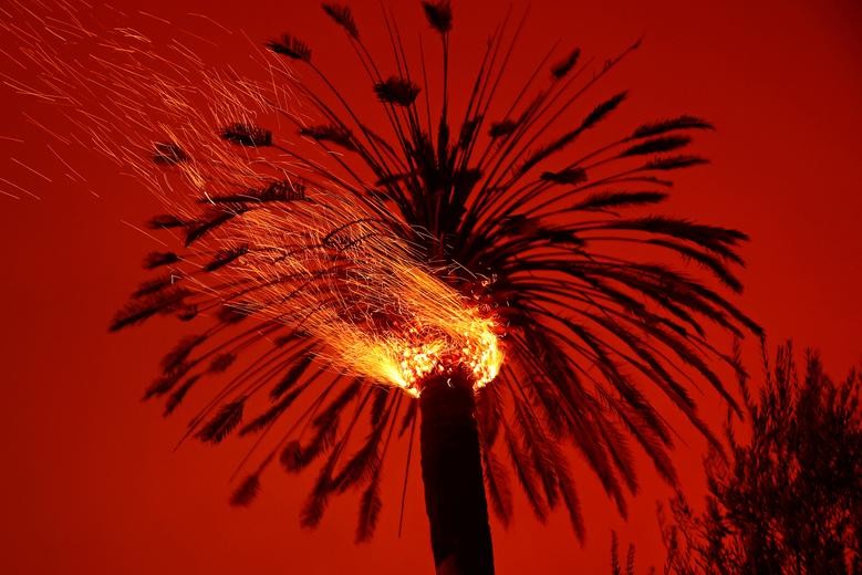 Embers are seen from a burning tree during the Glass Fire in St. Helena, California, September 27, 2020. REUTERS/Stephen Lam